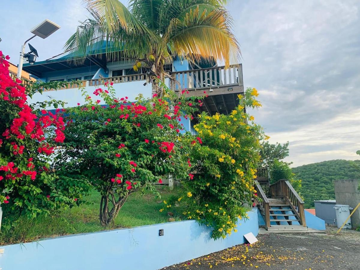 Coqui Beach Home, Culebra Isla Culebra Eksteriør billede