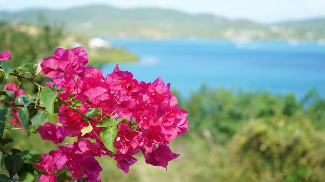 Coqui Beach Home, Culebra Isla Culebra Eksteriør billede