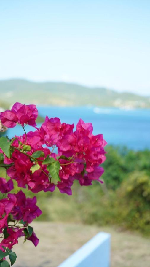 Coqui Beach Home, Culebra Isla Culebra Eksteriør billede