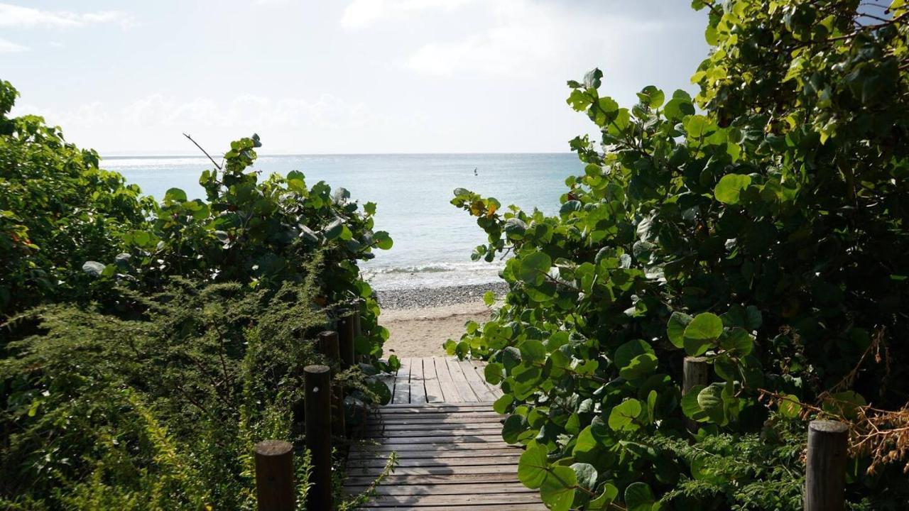 Coqui Beach Home, Culebra Isla Culebra Eksteriør billede